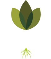The Homestead Hydroponic Farm