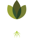 The Homestead Hydroponic Farm