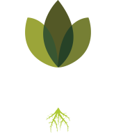 The Homestead Hydroponic Farm