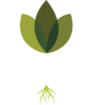 The Homestead Hydroponic Farm